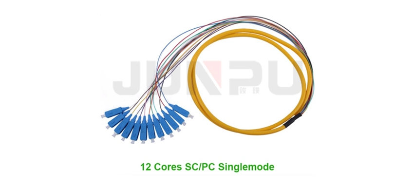 12-aderige SC/PC 900µm bundelfan-out glasvezelpigtail